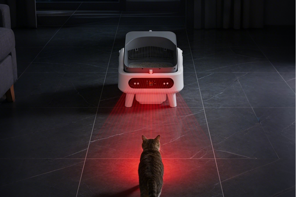 Miaopaw